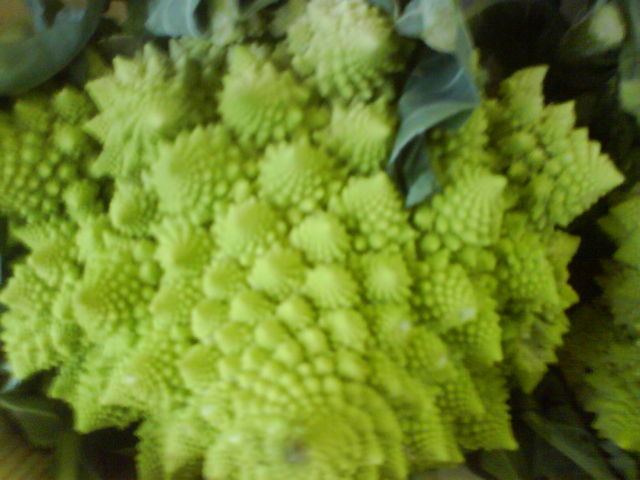 fraktales gem�se fraktal romanesco gr�n gem�se 