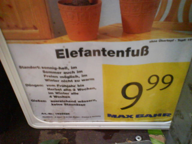 elefantenfu� elfenfantenfu� 