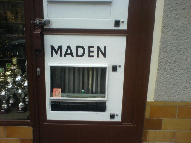 Der Madenautomat tiere maden wrmer 