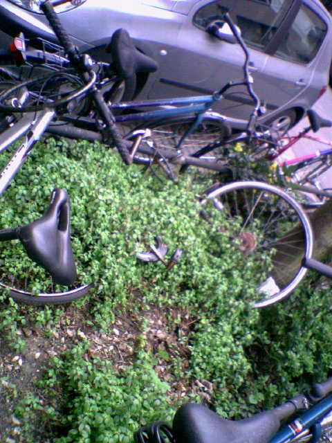 begr�nt fahrr�der fahrrad gr�n pflanzen 