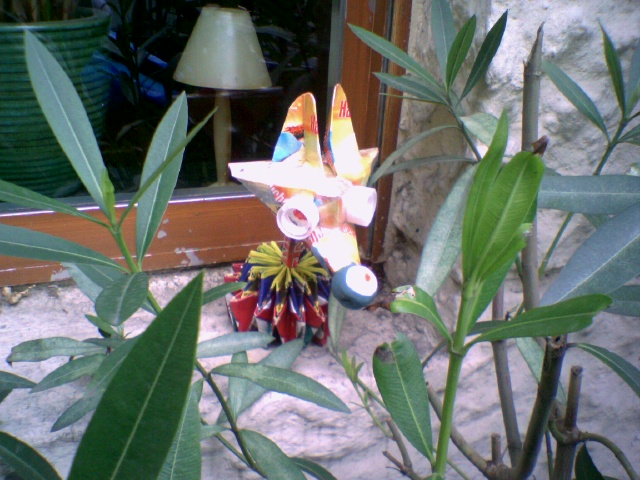 tier keimaks ecke tier s�dstadt bunt basteln 