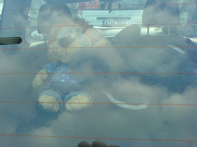 Tagesaktuelle Hutablage! ablage del eishockey frisst hai tagesaktuell auto hut halbfinale l�we 