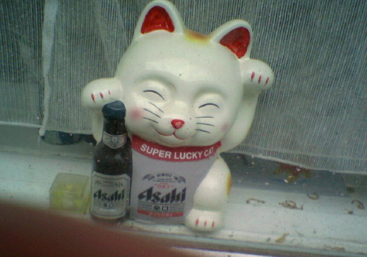  superlucky bier china katze winken hamburg 