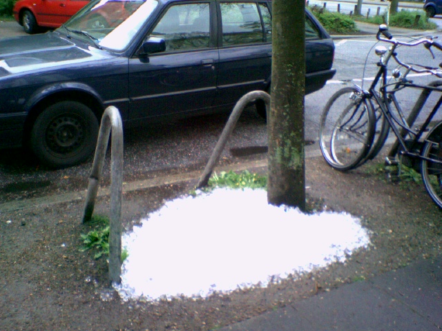 wurzelbehandlung? eiswrfel baum berg hamburg 