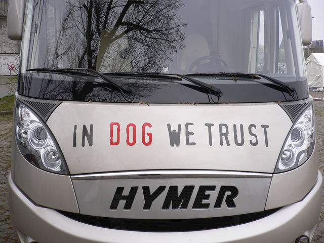 dogma auto hund vertrauen hamburg 