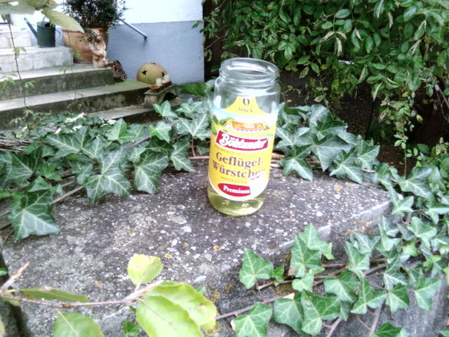  gefl�gelwurst 