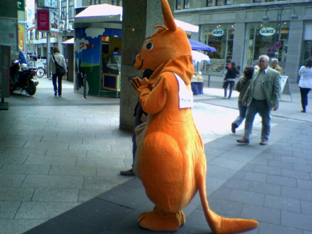 tier k�nguruh k�ln tier werbung handy olivandenhof 