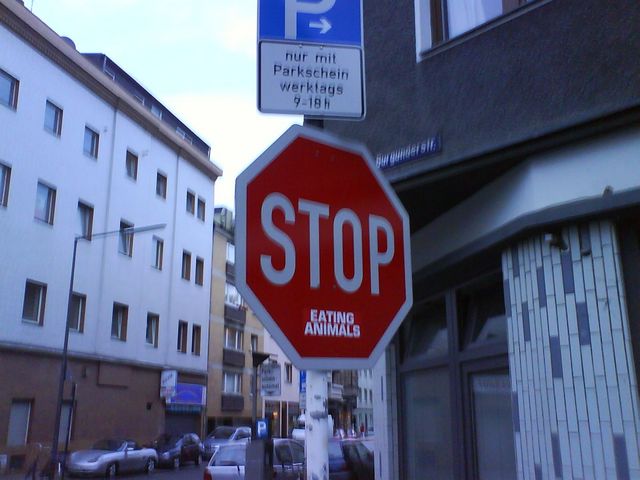 stop eating animals stopschild animals eating schild strasse stop 