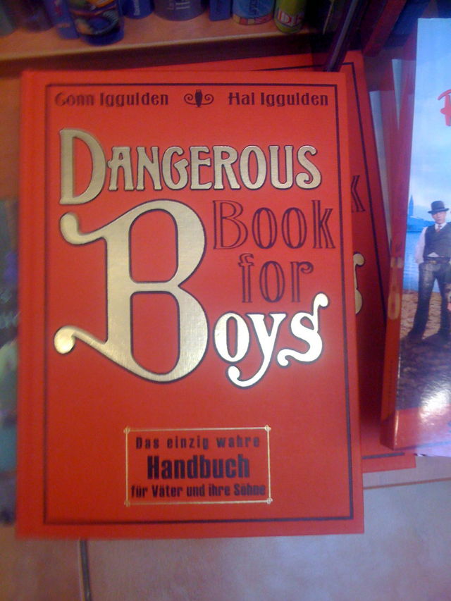 Dangerous! dangerous handbuch buch 