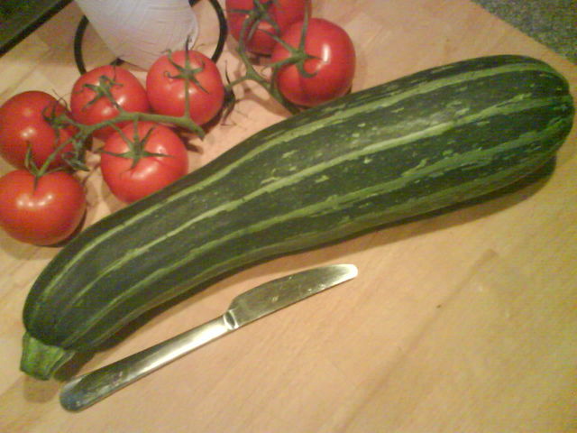 Wirklich:Megamonster Zucchini 1 megaamonster zucchini zucht 