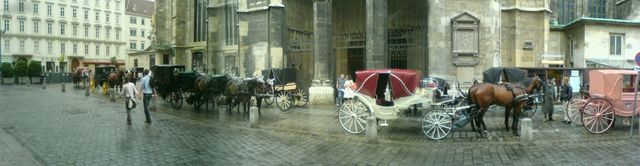 Der Transportklassiker pferdekutsche wien 2008 stephansdom 