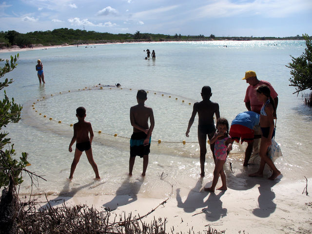 Netzfischen fischen familie meer netz cayo coco 