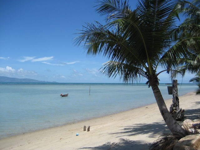  palme strand thailand kopanghan urlaub 