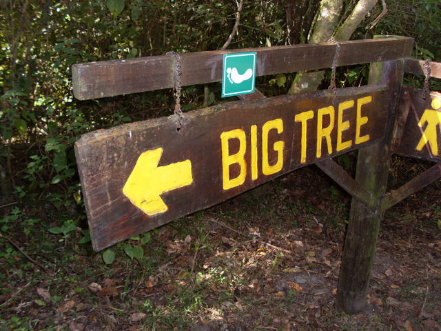 Hideaway of BigTree baum schild afrika sd 