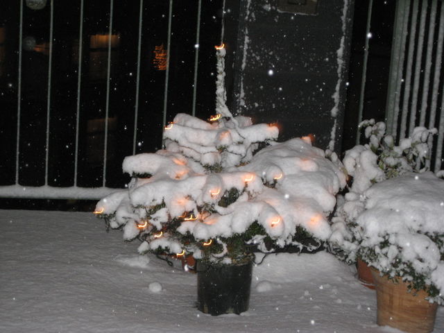 schneeeeeeeeeeeeeeeeeeeeeeeeeeeeeeeeeeeeeeeeeeeeeeeeeeeeeee schnee wei� weihnachtsbaum terrasse 