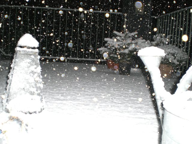 more and more schnee schnee wei� weihnachtsbaum terrasse 