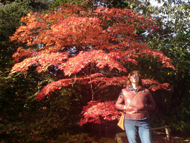 frau mit baum forstbotanischer herbst kerstin garten 