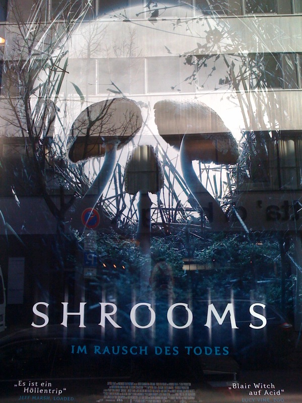 micha pass auf h�llentrip witch acid tod pilz videothek blair shrooms 