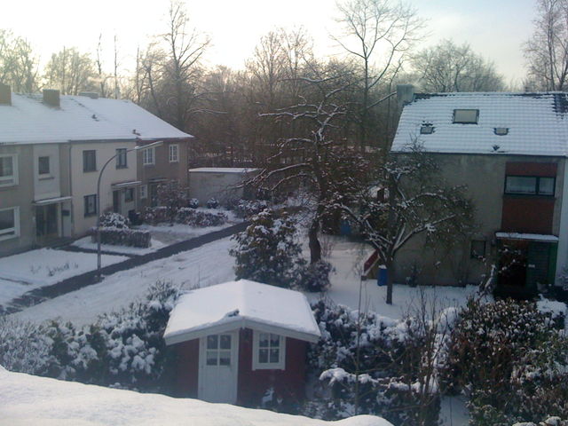 schnee kln schnee garten vogelsang 