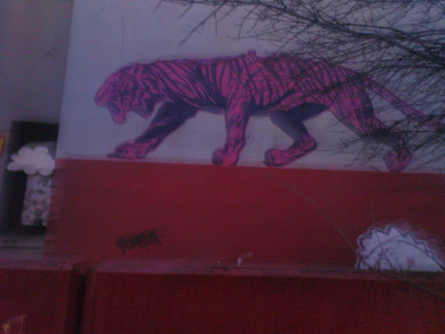 rosa raubkatze streetart tiger pink 