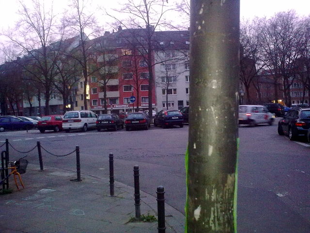 Eierpltzchen baum kln sdstadt eierpltzchen 