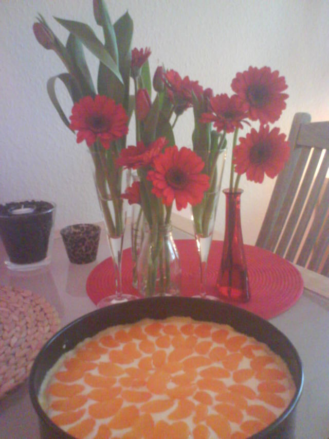 optische proffessionalisierung (mit hintergrunddeko) http://piclog.de/pictures/702 ksekuchen kuchen mandarinen brabanter 