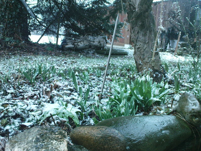 Sometimes it snows in April - in Bayern 