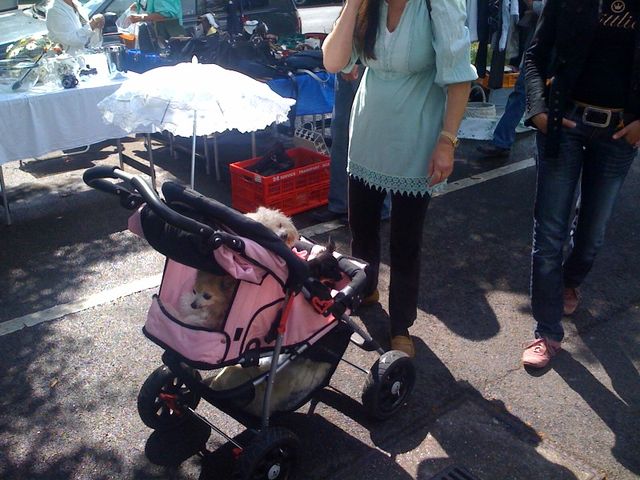 hundekinderwagen auf flohmarkt hund hunde kinderwagen flohmarkt 