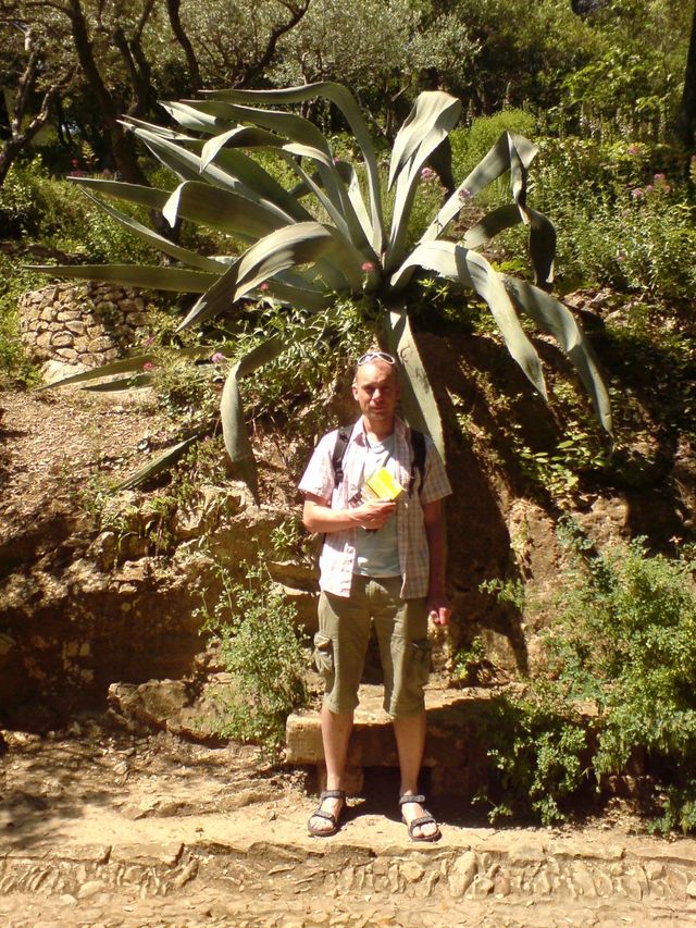 chef-tourist micha vogelmann tourist frankreich aloe 