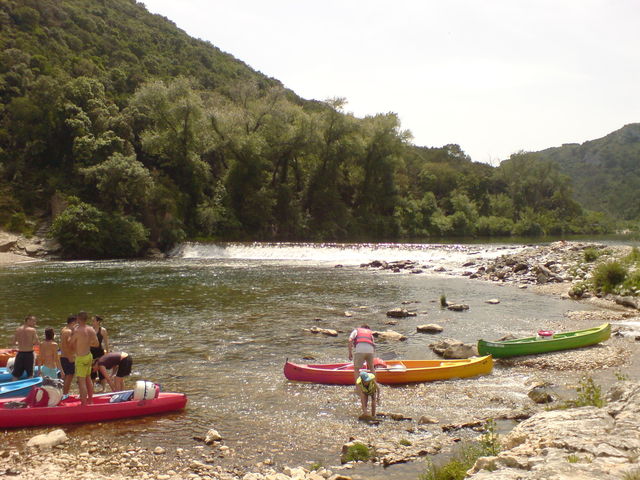 gardon colias gardon schwimmen kanu 