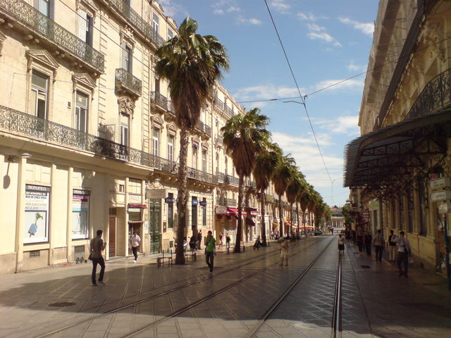 montpellier sommer urlaub straße frankreich palmen straßenbahn montpellier 