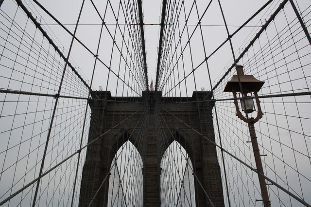  brooklyn bridge   