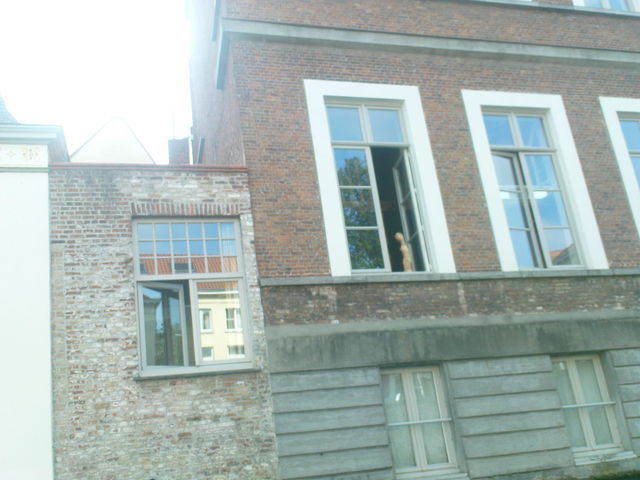 Gleißend Licht umgibt Gefieder brügge fenster kunst sonne fassade ziegel kanal 