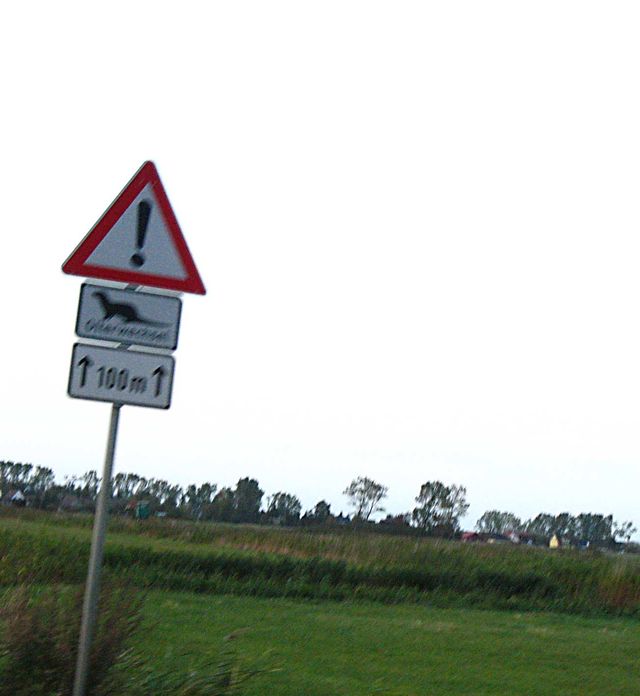 otterwechsel obacht otterwechsel schild prerow 