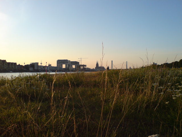 als es noch sommer war... kranh�user dom rhein wiese pollerwiesen 