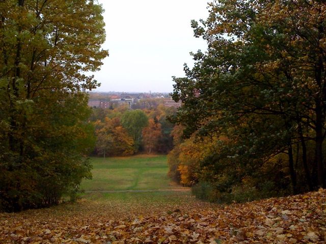 park herkules herkulespark herbst wiese bltter 