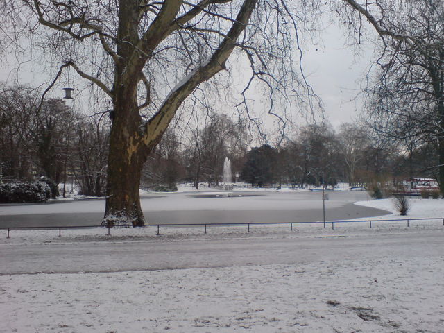 Volksgarten mal ohne Grilldunst schnee winter volksgarten wei 