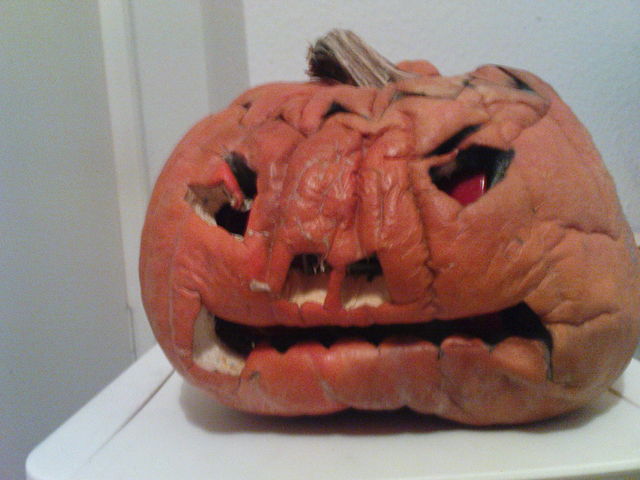 Schrumpfkopf halloween pumpkin krbiskopf krbis 