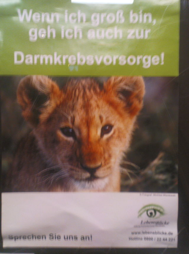 kindertr�ume darmkrebs l�wchen vorsorge gro� l�we medizin 
