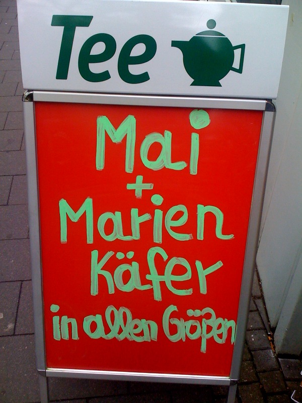 tee mai marienk�fer tee 