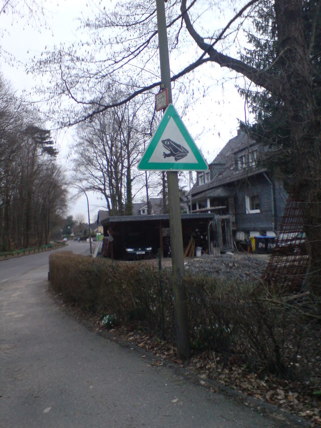 Frogger frog frogger schild frosch platt kr�te 