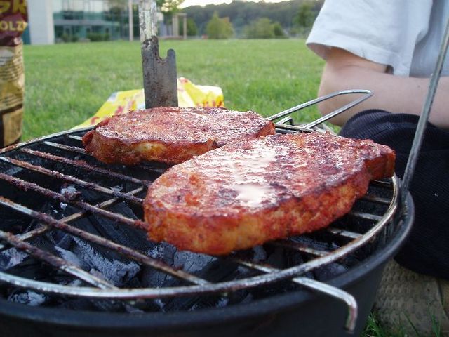 grillen 4 life fleisch grillen 