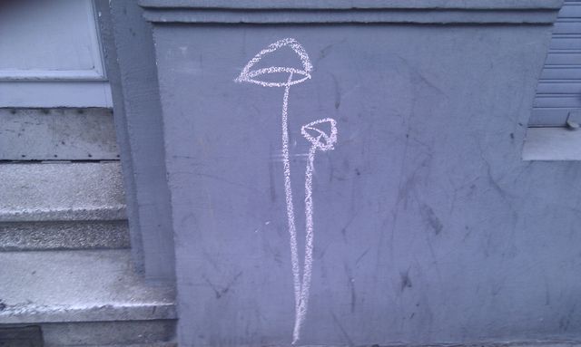 was mit bananen geht... strasse streetart kreide nippes pilz 