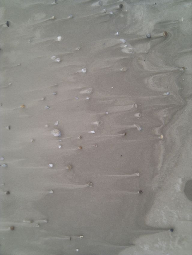 Stt holland meer strand wind muscheln 