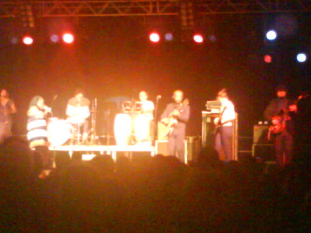 sharon jones & the dap kings 