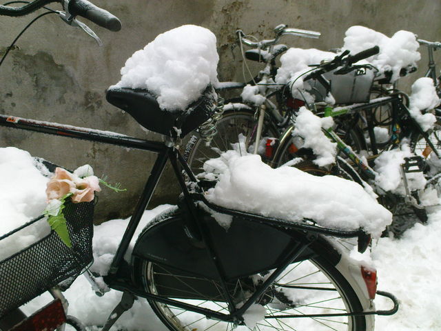 kln schnee winter 2010 