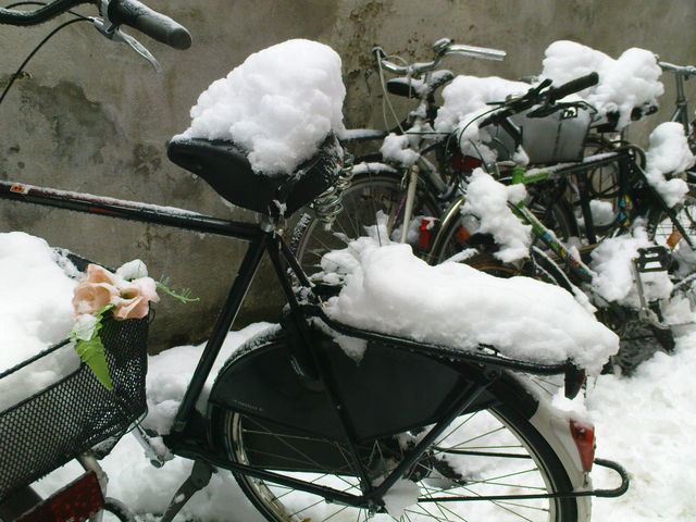  köln schnee winter 2010 